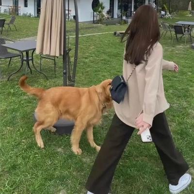 我与妻子的1778个故事
